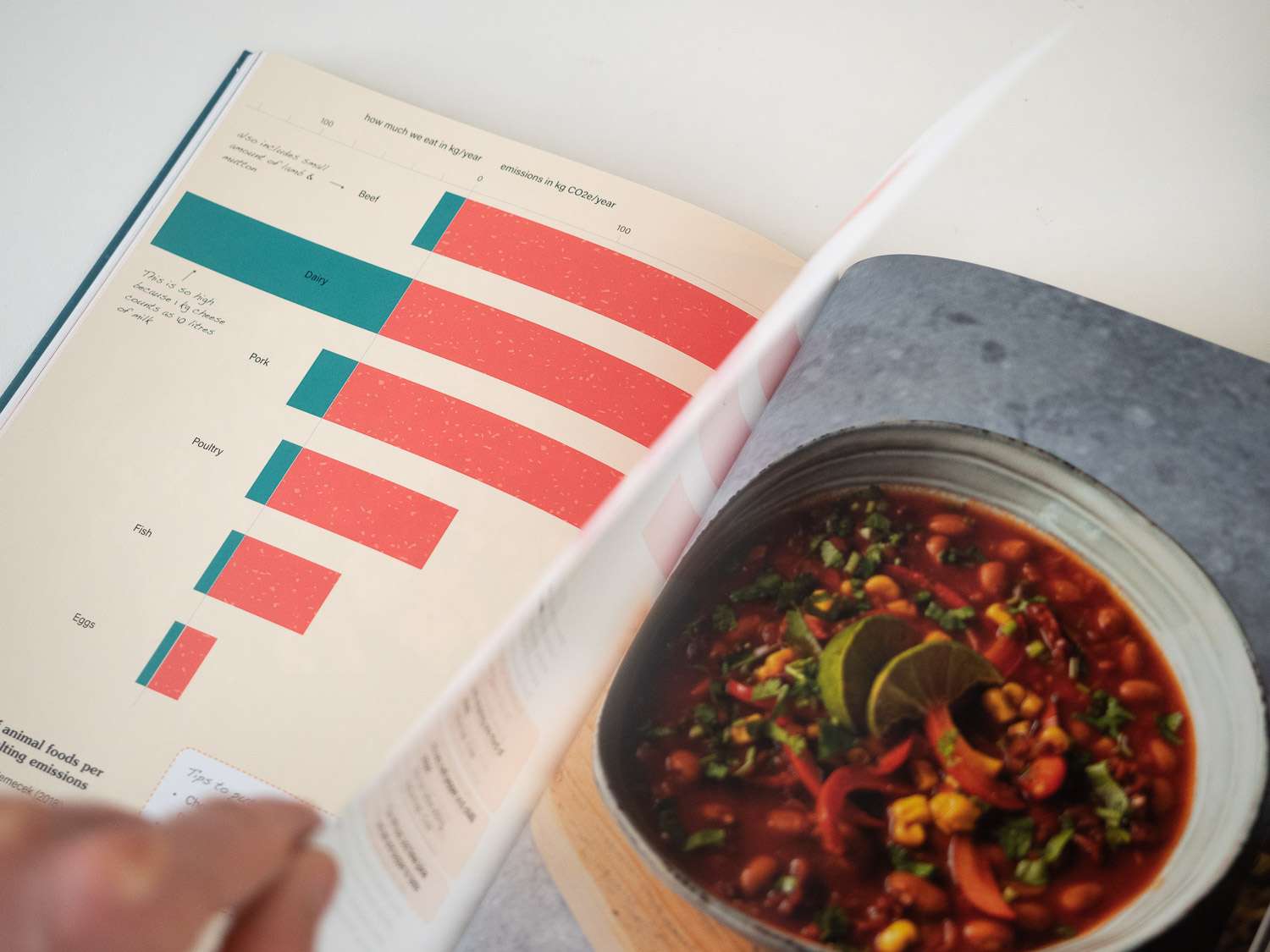 Fork Ranger: Solving climate change with food - Image 4
