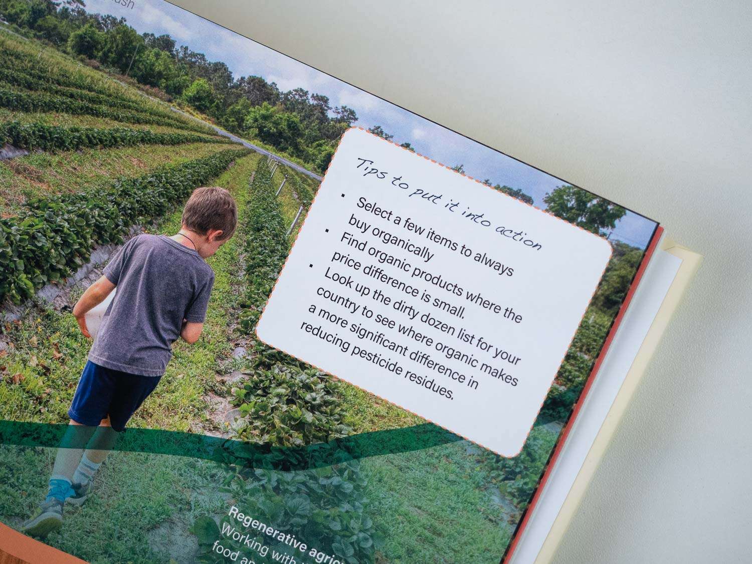 Fork Ranger: Solving climate change with food - Image 9