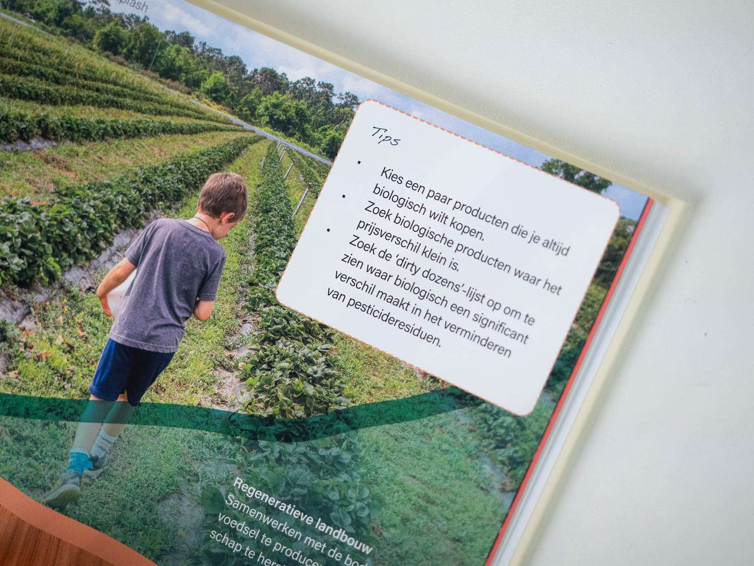 Fork Ranger: Solving climate change with food - Afbeelding 9