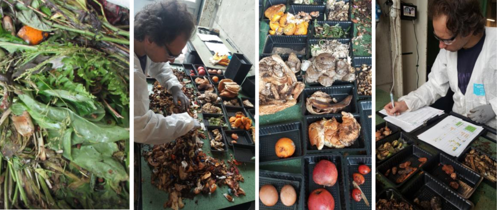 sorting food waste and bread leftovers