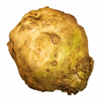 celeriac (free)
