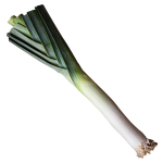 leek (free)