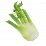 Venkel