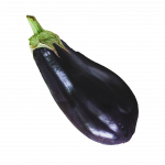 aubergine