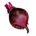 beetroot