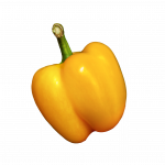 bell pepper