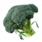 broccoli