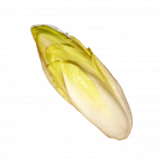 chicory