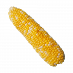 corn