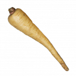parsnip