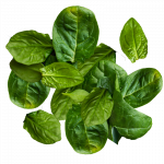 spinach