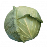 white cabbage
