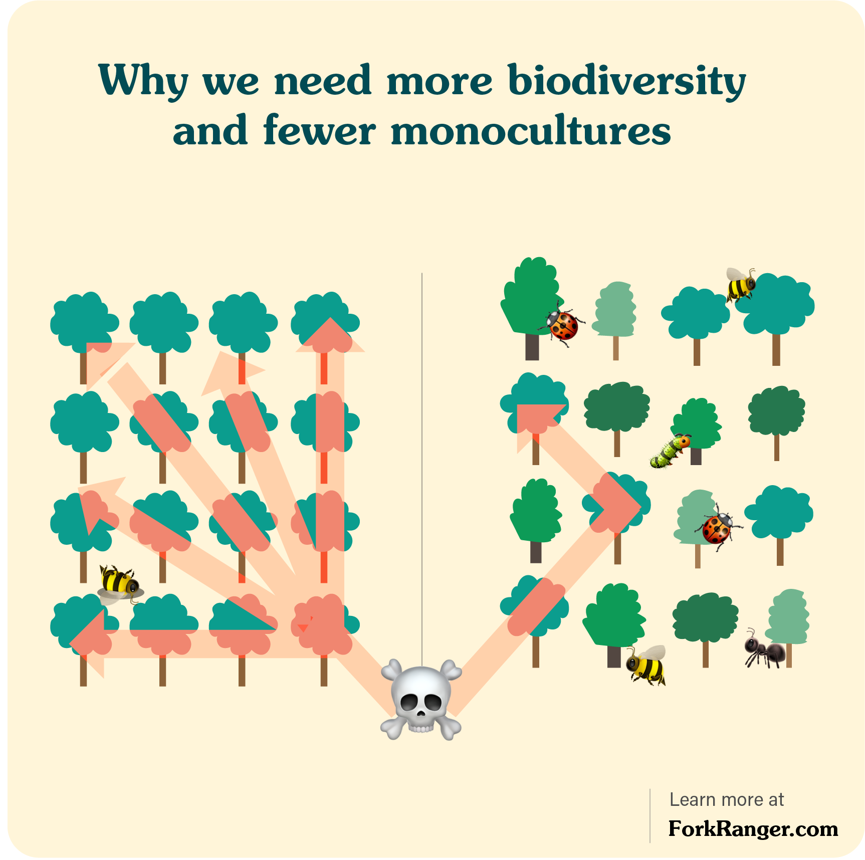 why diversity is important