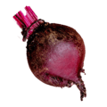 beetroot