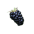 blackberry blackberry