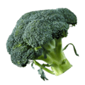broccoli a picture of broccoli