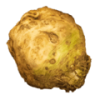 celeriac