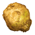 celeriac