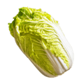 chinese cabbage