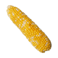 corn