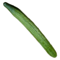 cucumber cucumber