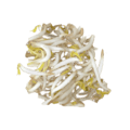 mung bean sprouts