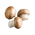 mushrooms