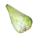 oxheart cabbage