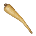 parsnip