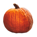 pumpkin