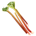 rhubarb rhubarb