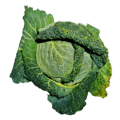 savoy cabbage