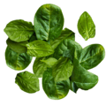 spinach