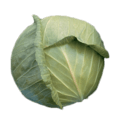 white cabbage