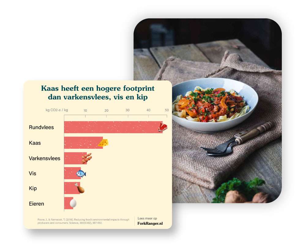 insights-and-recipes