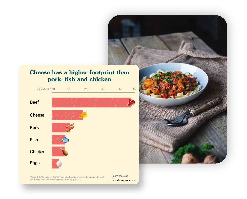 insights-and-recipes insights-and-recipes