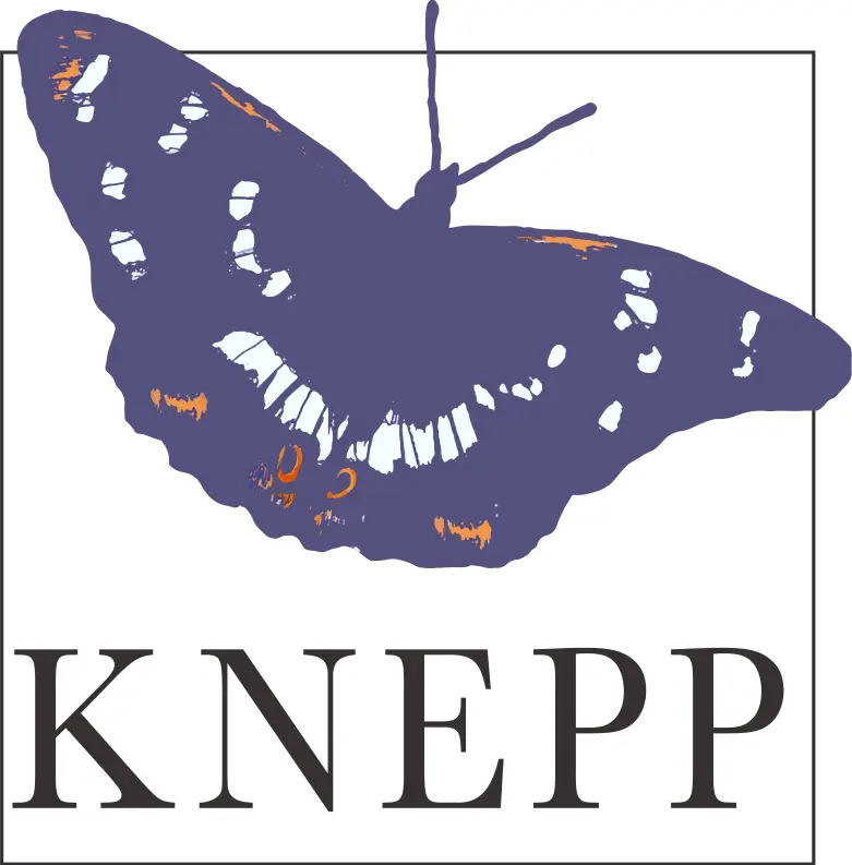 logo-knepp logo knepp