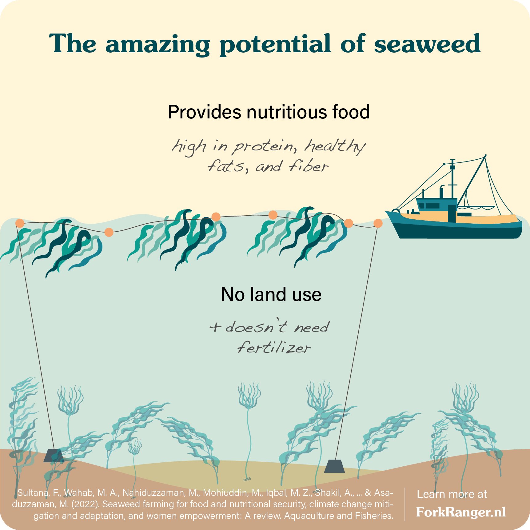 seaweed